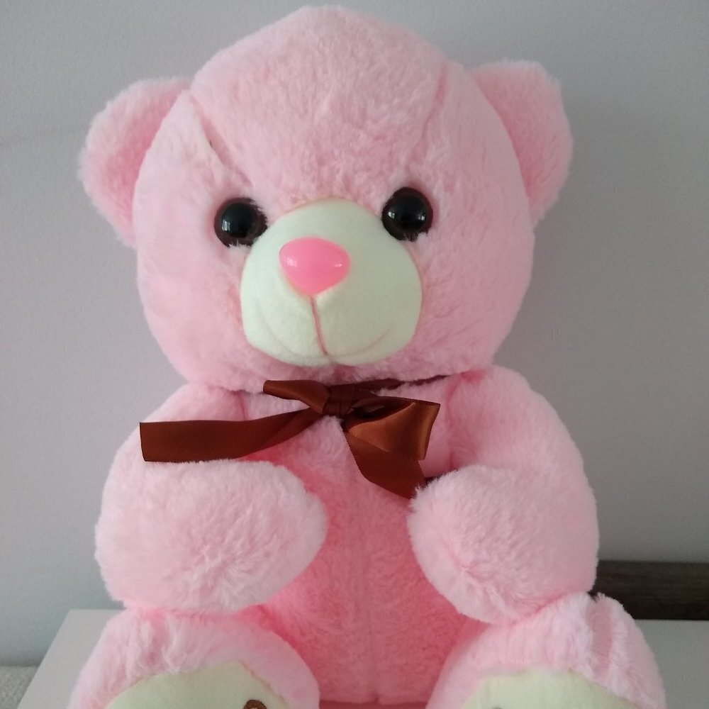 Plush Pink Teddy Bear Kids Stuffed Teddy Soft Toy NEW